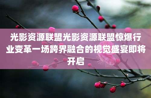 光影资源联盟光影资源联盟惊爆行业变革一场跨界融合的视觉盛宴即将开启