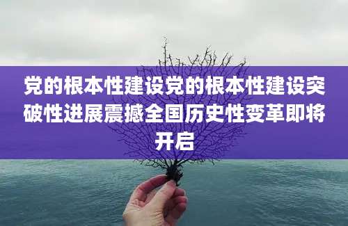 党的根本性建设党的根本性建设突破性进展震撼全国历史性变革即将开启