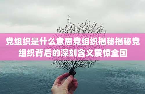 党组织是什么意思党组织揭秘揭秘党组织背后的深刻含义震惊全国
