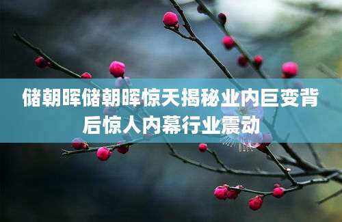 储朝晖储朝晖惊天揭秘业内巨变背后惊人内幕行业震动