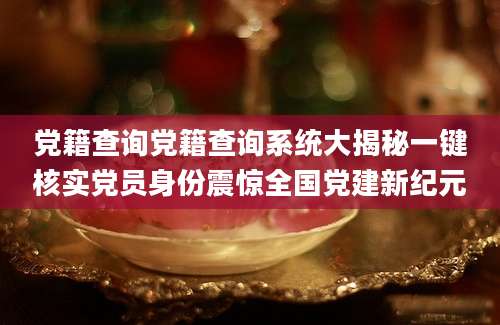 党籍查询党籍查询系统大揭秘一键核实党员身份震惊全国党建新纪元