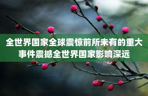 全世界国家全球震惊前所未有的重大事件震撼全世界国家影响深远