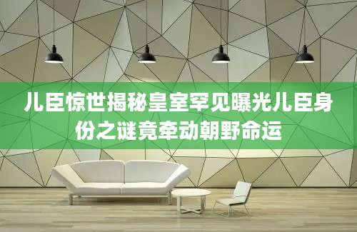 儿臣惊世揭秘皇室罕见曝光儿臣身份之谜竟牵动朝野命运
