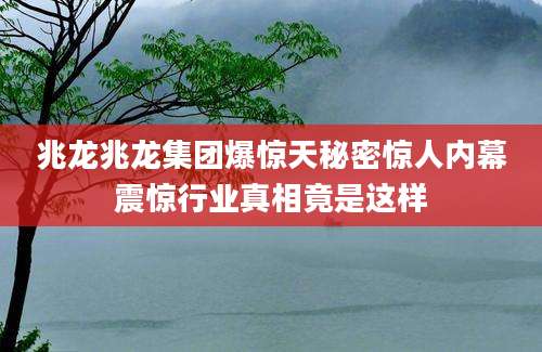 兆龙兆龙集团爆惊天秘密惊人内幕震惊行业真相竟是这样
