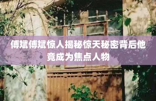 傅斌傅斌惊人揭秘惊天秘密背后他竟成为焦点人物
