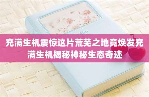 充满生机震惊这片荒芜之地竟焕发充满生机揭秘神秘生态奇迹