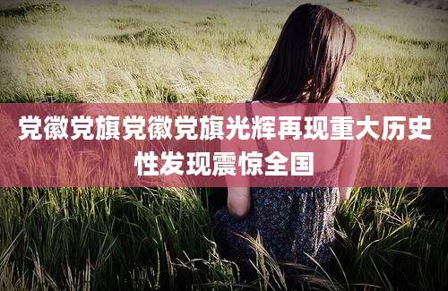党徽党旗党徽党旗光辉再现重大历史性发现震惊全国