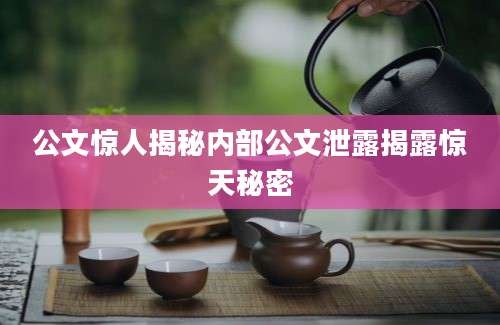 公文惊人揭秘内部公文泄露揭露惊天秘密
