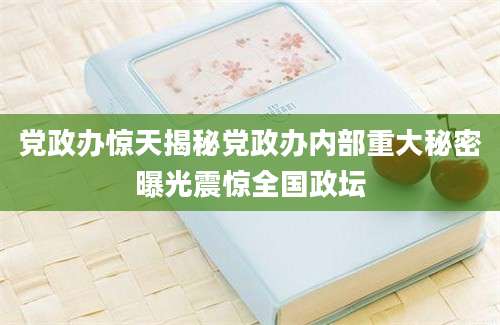党政办惊天揭秘党政办内部重大秘密曝光震惊全国政坛