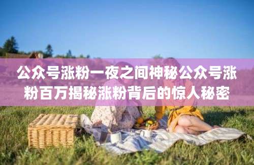 公众号涨粉一夜之间神秘公众号涨粉百万揭秘涨粉背后的惊人秘密