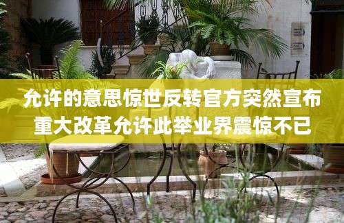 允许的意思惊世反转官方突然宣布重大改革允许此举业界震惊不已
