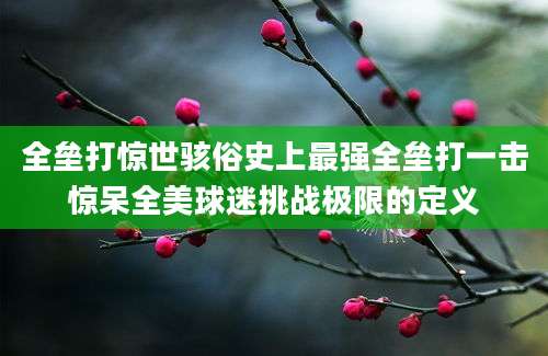 全垒打惊世骇俗史上最强全垒打一击惊呆全美球迷挑战极限的定义
