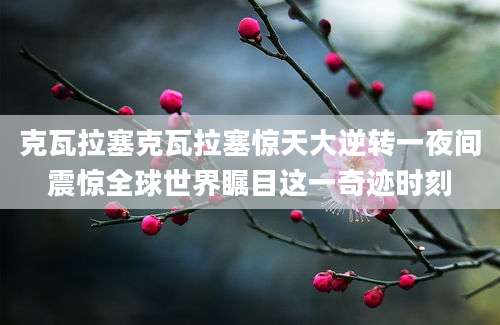 克瓦拉塞克瓦拉塞惊天大逆转一夜间震惊全球世界瞩目这一奇迹时刻