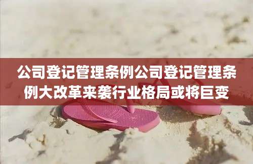 公司登记管理条例公司登记管理条例大改革来袭行业格局或将巨变