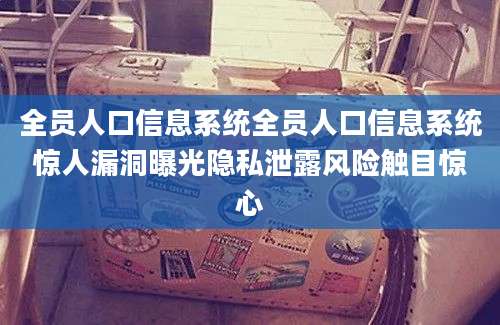 全员人口信息系统全员人口信息系统惊人漏洞曝光隐私泄露风险触目惊心