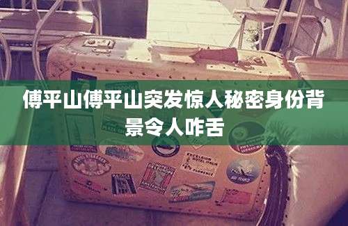 傅平山傅平山突发惊人秘密身份背景令人咋舌