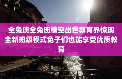 全兔班全兔班横空出世教育界惊现全新班级模式兔子们也能享受优质教育