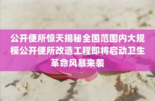 公开便所惊天揭秘全国范围内大规模公开便所改造工程即将启动卫生革命风暴来袭