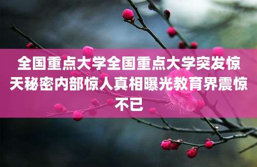 全国重点大学全国重点大学突发惊天秘密内部惊人真相曝光教育界震惊不已