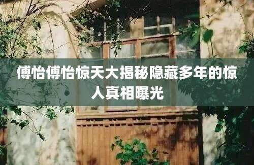傅怡傅怡惊天大揭秘隐藏多年的惊人真相曝光