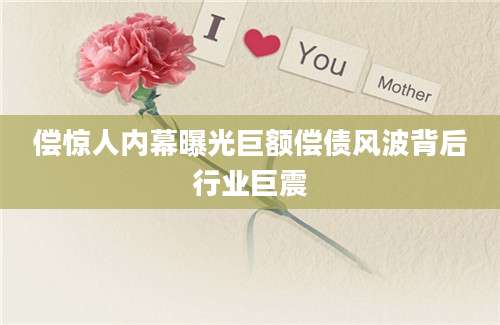 偿惊人内幕曝光巨额偿债风波背后行业巨震