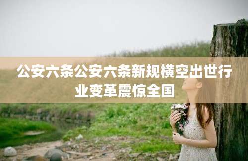 公安六条公安六条新规横空出世行业变革震惊全国