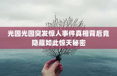 光园光园突发惊人事件真相背后竟隐藏如此惊天秘密
