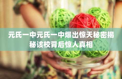 元氏一中元氏一中爆出惊天秘密揭秘该校背后惊人真相