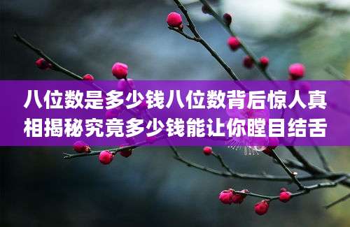 八位数是多少钱八位数背后惊人真相揭秘究竟多少钱能让你瞠目结舌