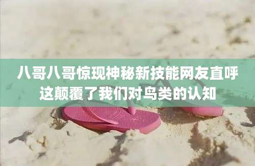 八哥八哥惊现神秘新技能网友直呼这颠覆了我们对鸟类的认知