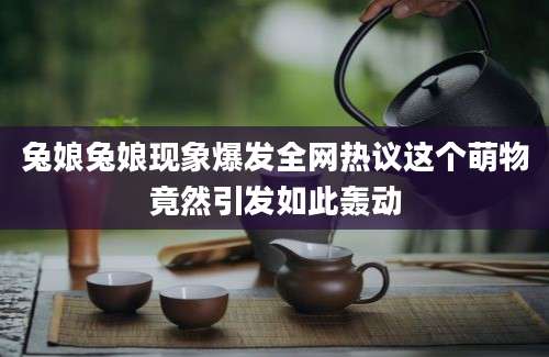 兔娘兔娘现象爆发全网热议这个萌物竟然引发如此轰动
