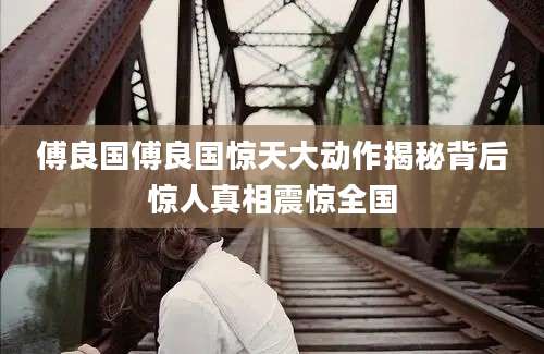 傅良国傅良国惊天大动作揭秘背后惊人真相震惊全国
