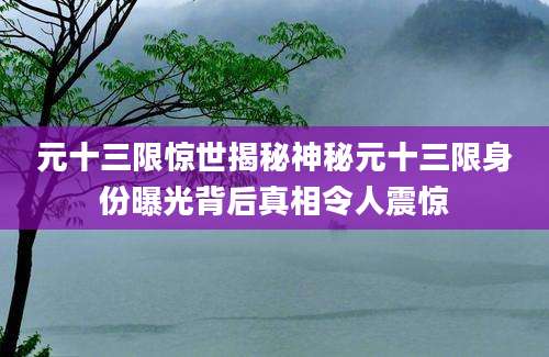 元十三限惊世揭秘神秘元十三限身份曝光背后真相令人震惊