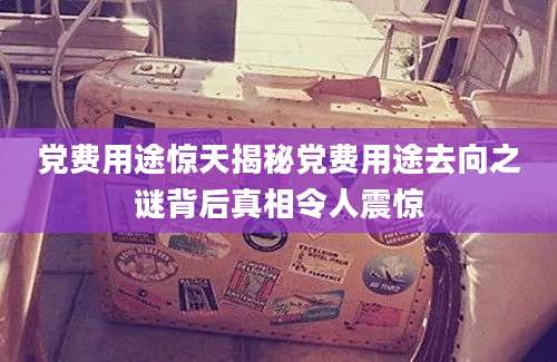 党费用途惊天揭秘党费用途去向之谜背后真相令人震惊
